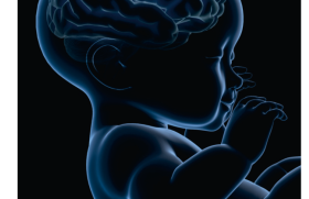 Voix et musique en néonatologie : le prématuré a-t-il un cerveau compétent ?