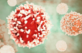 Zoom sur les infections HPV associées à la grossesse 