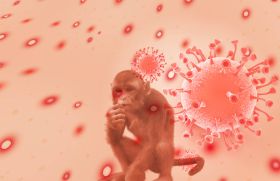 Que savons-nous des risques liés à la variole du singe pendant la grossesse ?