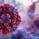 Erythème infectieux : l’infection par le Parvovirus B19 à la loupe