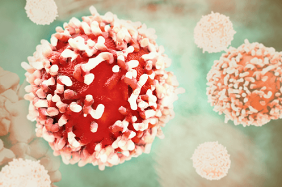 Zoom sur les infections HPV associées à la grossesse Zoom sur les infections HPV associées à la grossesse